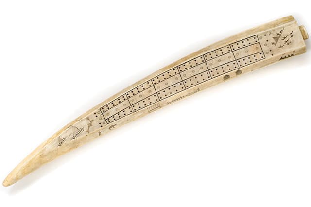 A curved cribbage board made from a walrus tusk